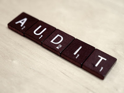 PMI PMP Application Audit Process